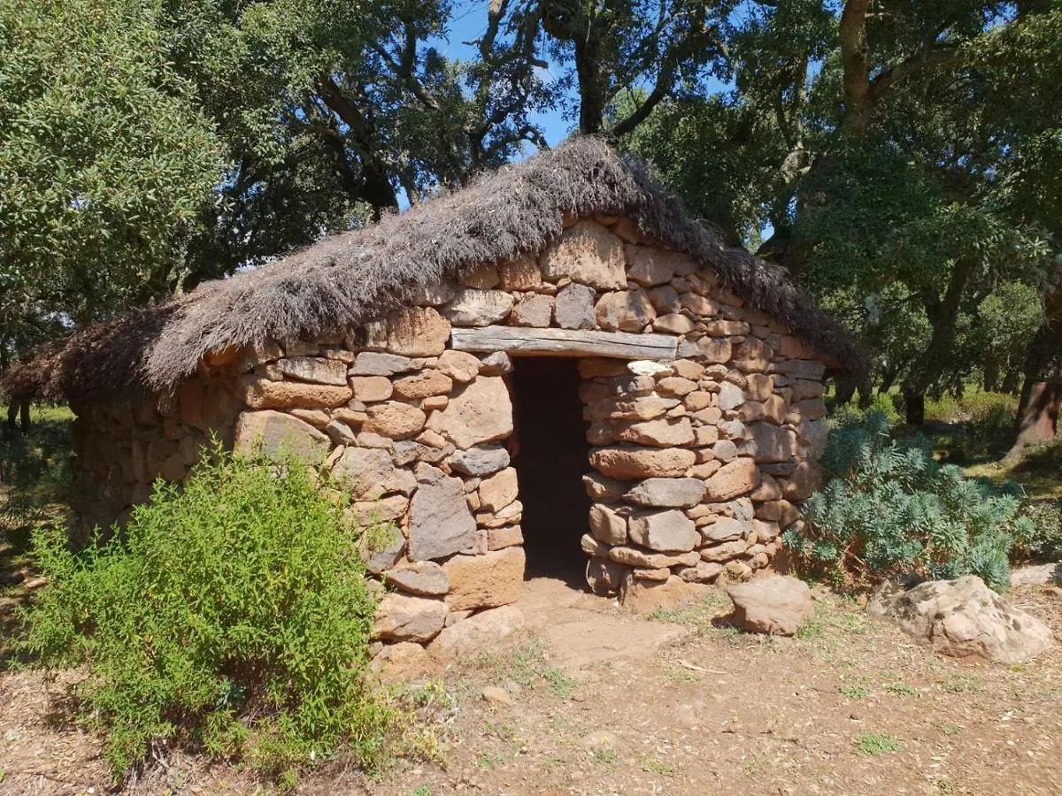 Sardinia Borgo Antico XIX Sec. Villa Gesturi